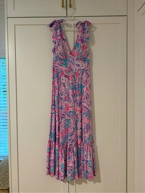 Lilly Pulitzer Maxine Dress in Don’t Be Jelly — *RARE* and WORN ONCE